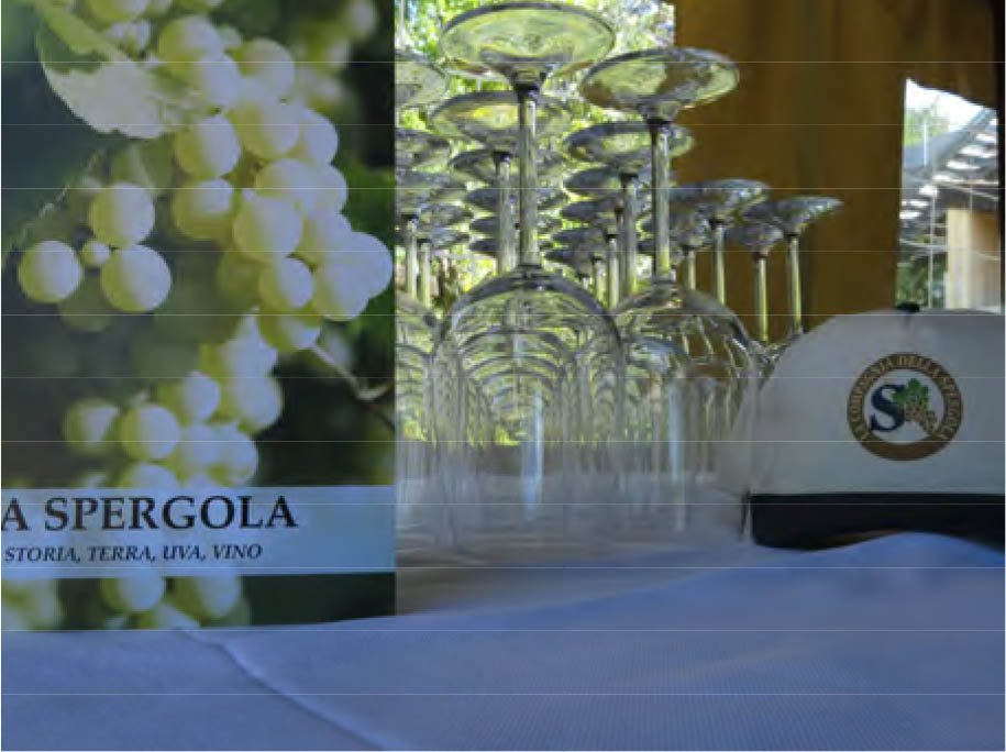 Spergolata delle Colline Scandianesi immagini\calendario\20180520_1.jpg